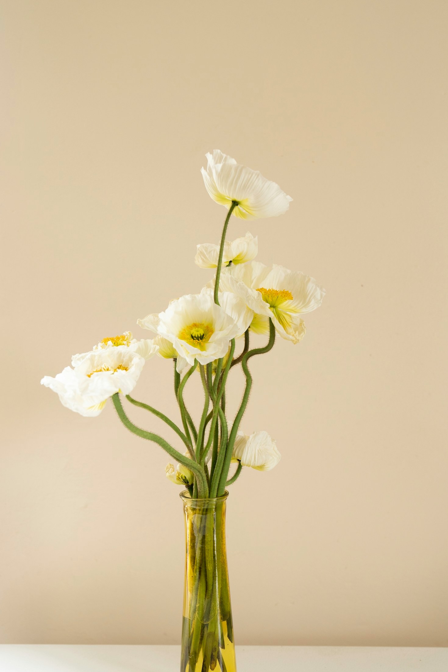 Seasonal Guides For Vibrant Backyard Blooms